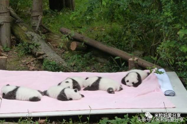 广州亲子游5天自由行不累,适合带宝宝去的亲子游