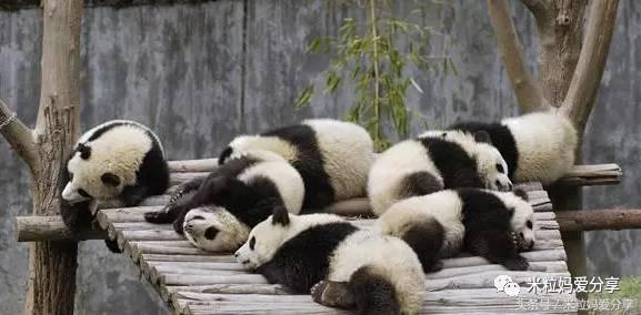 广州亲子游5天自由行不累,适合带宝宝去的亲子游