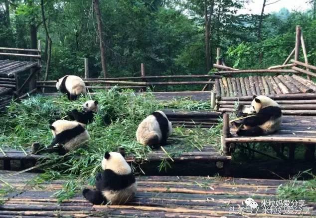 广州亲子游5天自由行不累,适合带宝宝去的亲子游