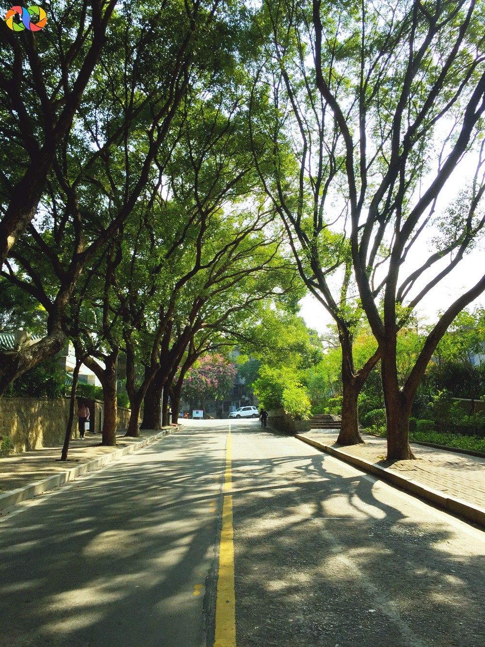 你愿意陪我走过春夏秋冬,你愿意陪我走一条很长的路吗中文