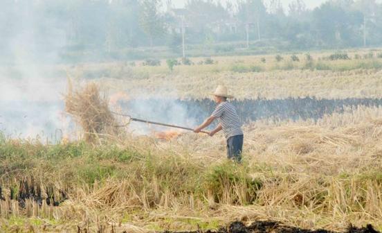 固特异轮胎工厂实拍,固特异轮胎中国工厂
