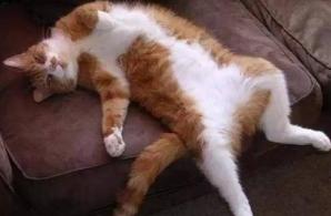 网络流行语大全总结,30句经典网络流行语