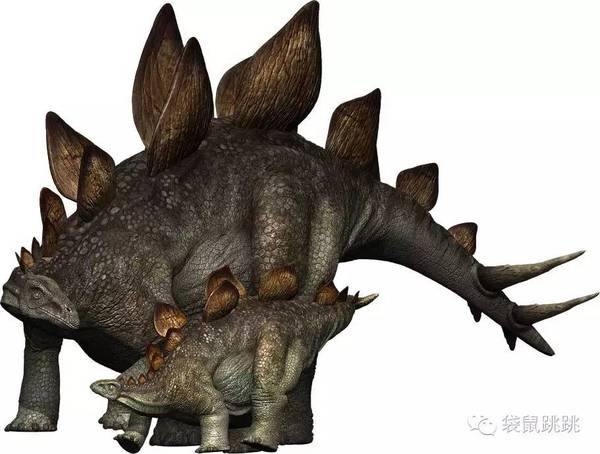 食肉恐龙的绘本,爱吃糖的小恐龙绘本