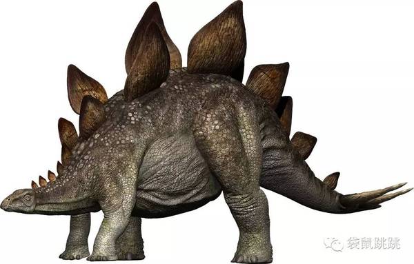 食肉恐龙的绘本,爱吃糖的小恐龙绘本