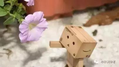 哈尔滨中考化学探究题解题技巧,哈尔滨中考化学必考知识点