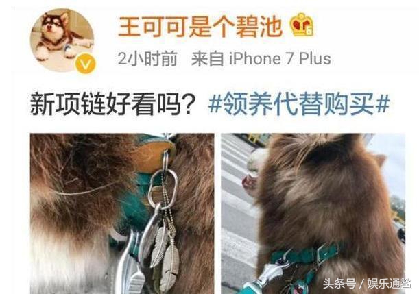 扒一扒娱乐圈深度爆料知乎,扒一扒娱乐内幕