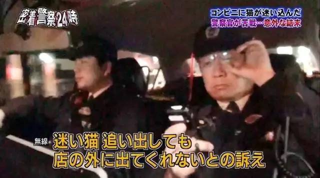 猫咪进餐厅被警察带走,猫咪禁止入内被逮捕