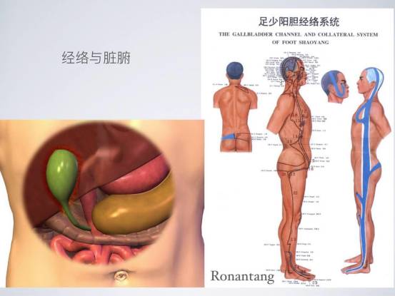 瑜伽经络十二法,唐一杰经络瑜伽
