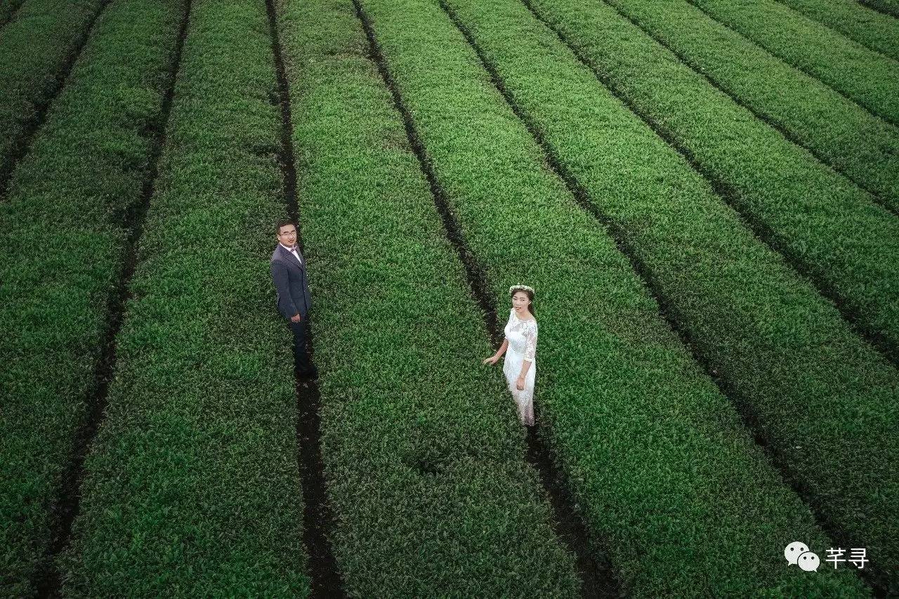 不止免签和免税店，还有各家爱豆，都在喊你去济州岛办婚礼！