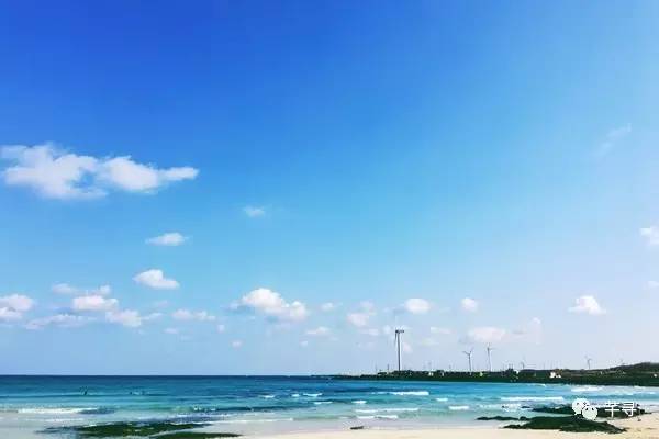 不止免签和免税店，还有各家爱豆，都在喊你去济州岛办婚礼！