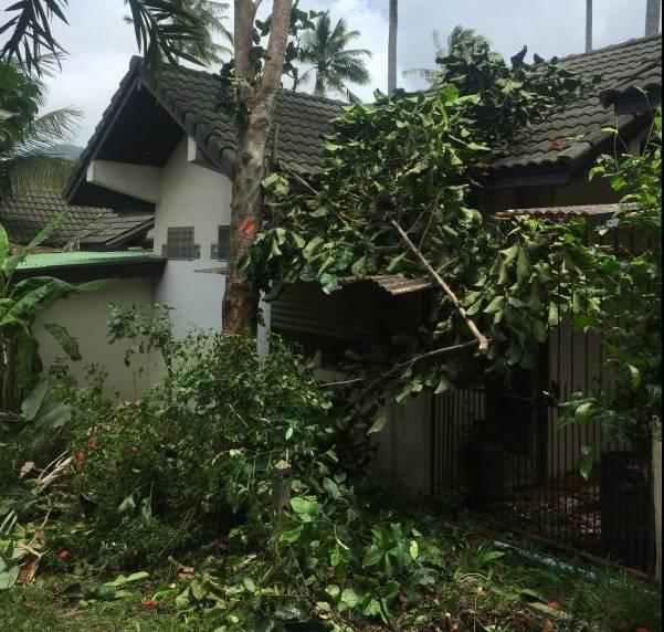 四川帅大叔暴改普吉岛民宿，用时4个月他活出了你最羡慕的样子