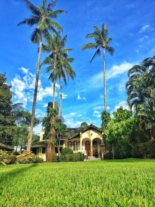 四川帅大叔暴改普吉岛民宿，用时4个月他活出了你最羡慕的样子