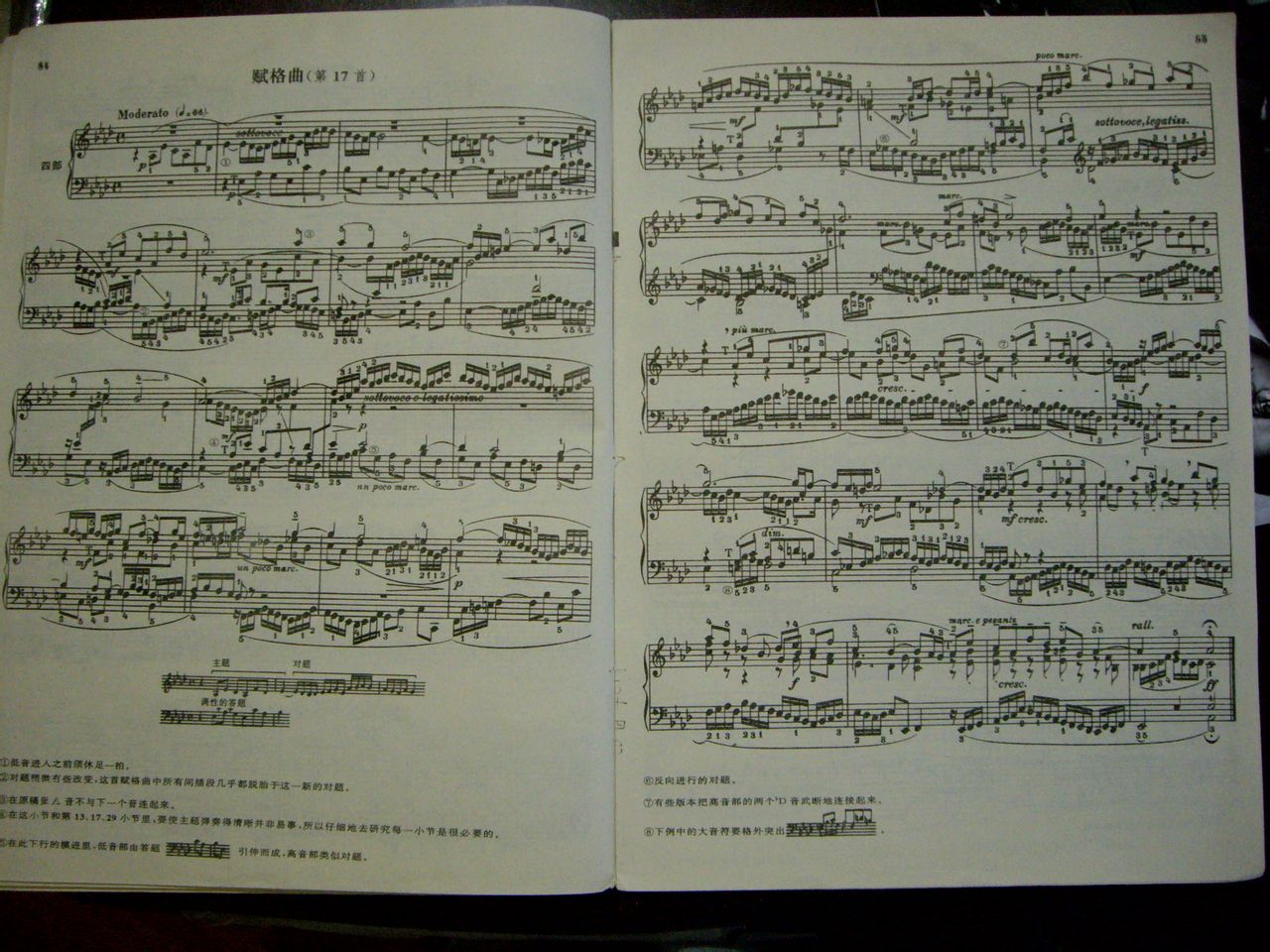 博兰斯勒钢琴有哪几个系列,德国博兰斯勒钢琴有哪些系列