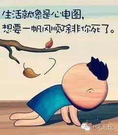 从hr到ceo的辛酸,从hr走向dhr的转型之路