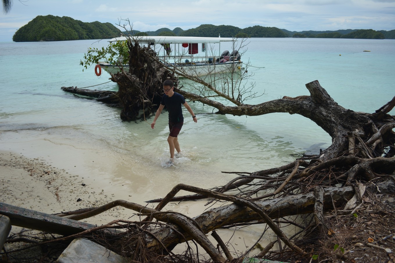 帕劳旅行攻略大全图文,帕劳旅行攻略图文大全
