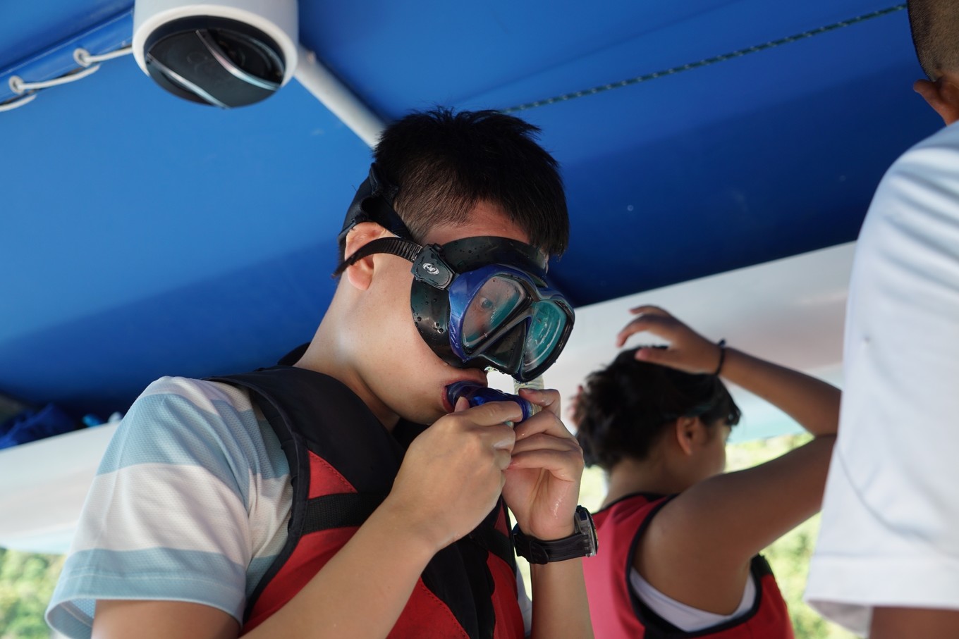 帕劳旅行攻略大全图文,帕劳旅行攻略图文大全