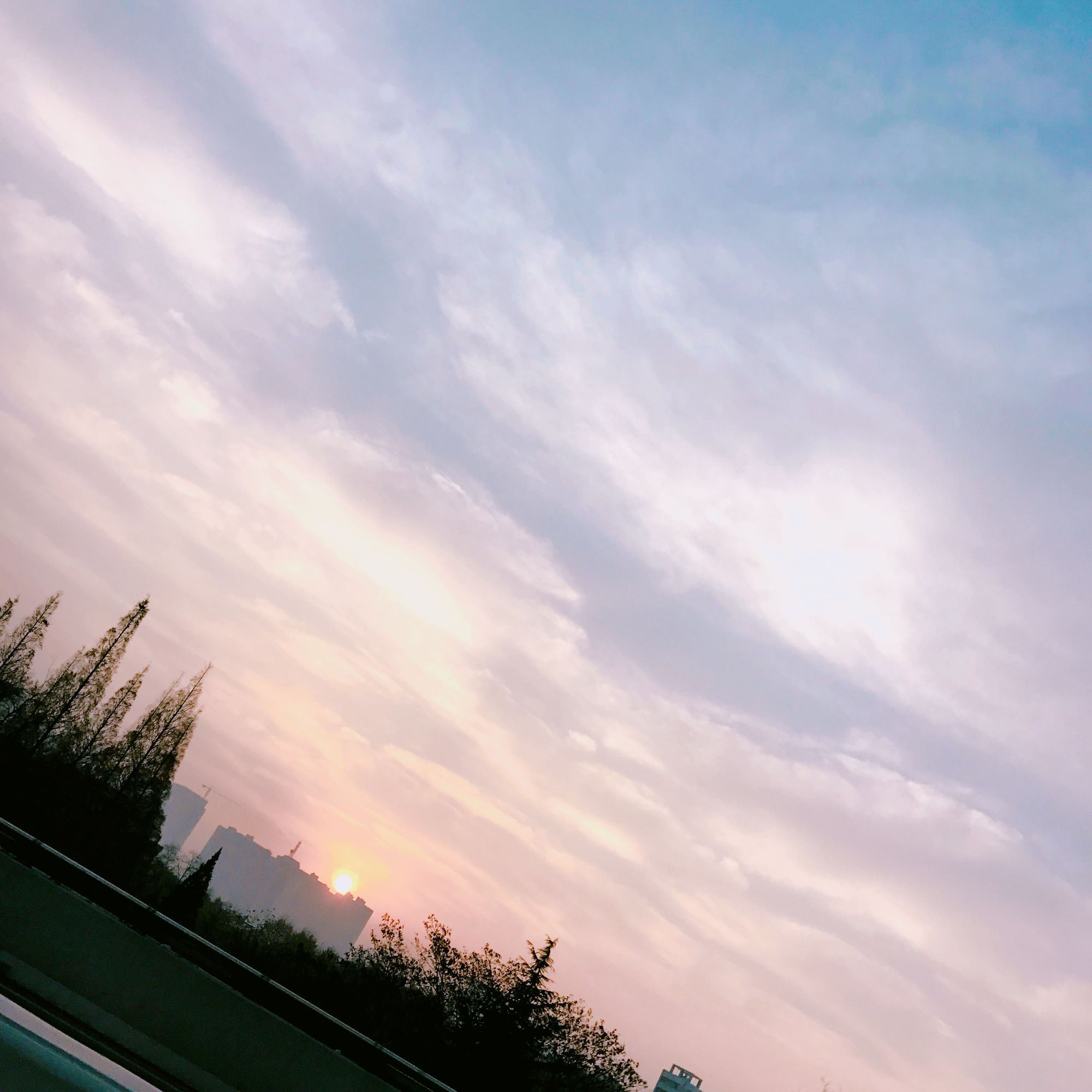 下一站你要去哪里肖桐,下一站你要去哪里歌曲