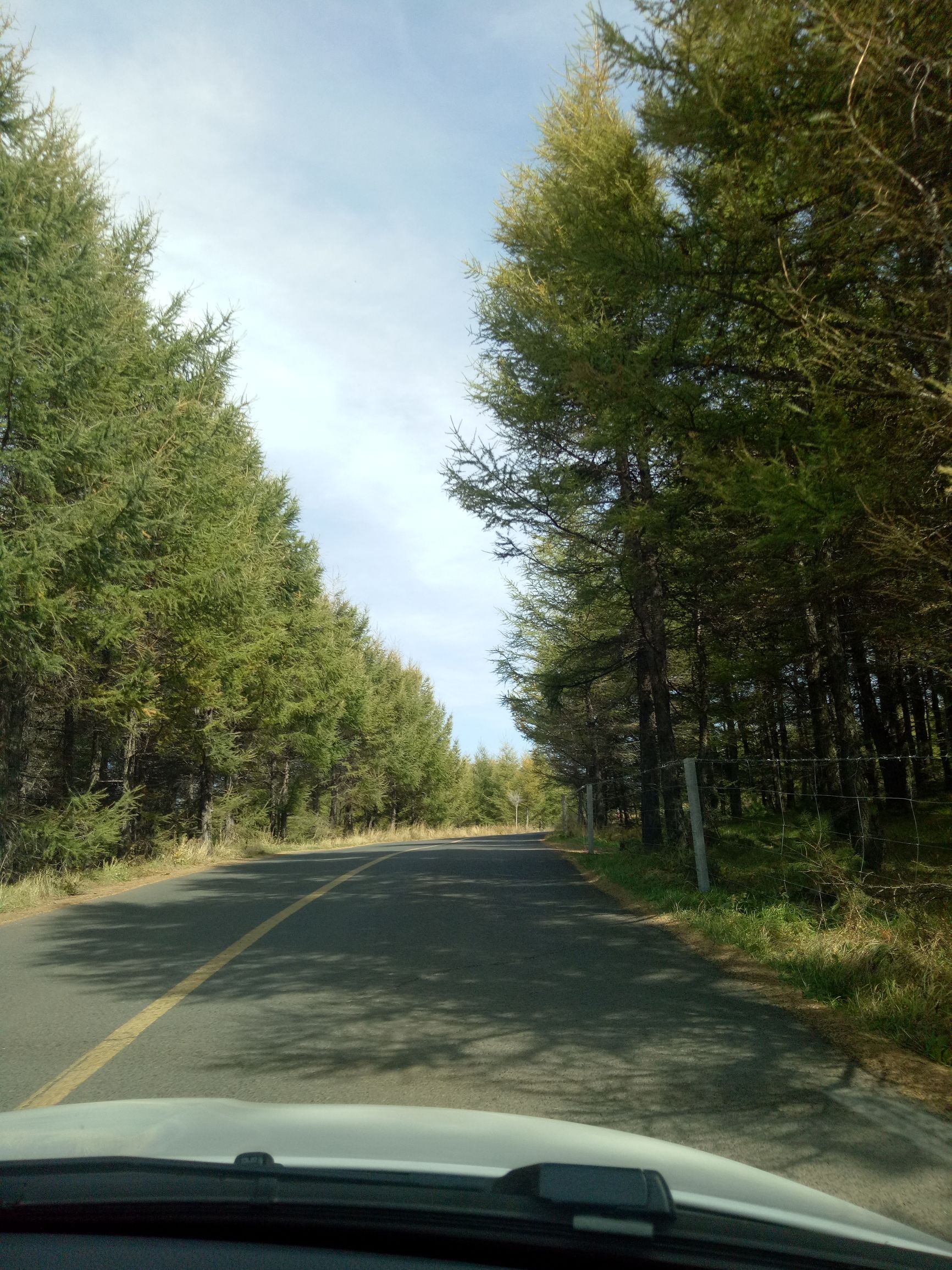 张北的草原天路之旅,张北天路攻略