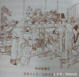 关于教育的深度思考视频,关于教育的一点思考