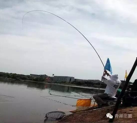 我和新春有个约会视频,我和新年有个约会600字作文