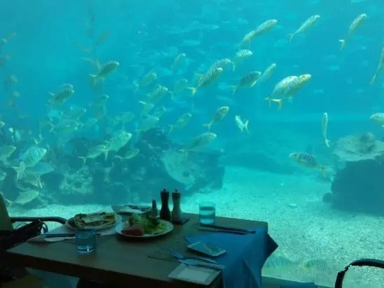 三亚旅游攻略亲子酒店,三亚最顶级的酒店排名