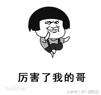 2016年十大网络流行语图集解释,2016年10大流行语公布