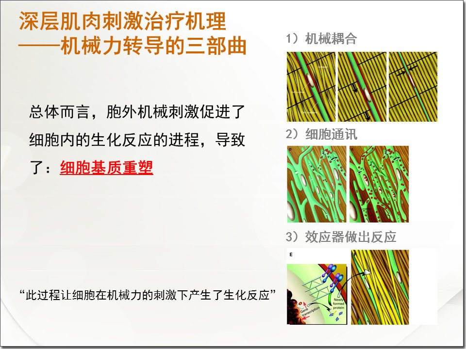 肌肉刺激的正确方法,深层肌肉紧张用什么仪器治疗