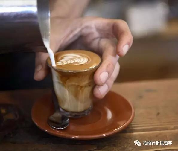 外国天价的白菜,为什么国外的白菜卖得这么贵