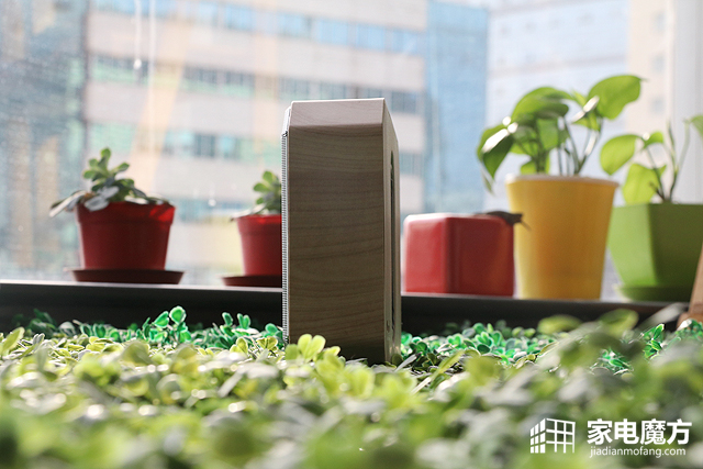 哎呦不错哦酷狗概念版,哎呦不错哦专辑预售价格