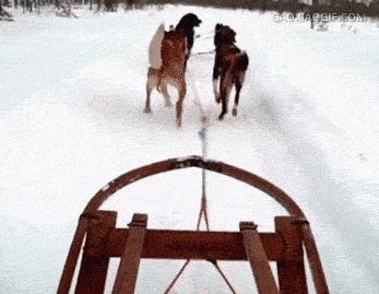 山路大巴不是那么好坐，你们还敢说自己是搬砖的？