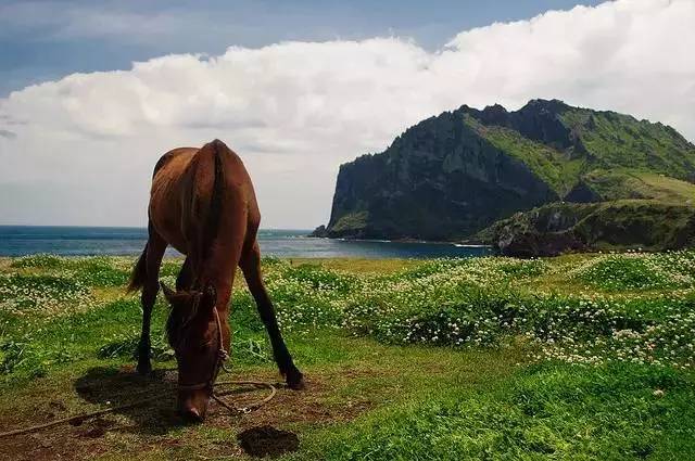 韪忎笂娴庡窞,娴庡窞宀涚殑鏄ュぉ鏃呰