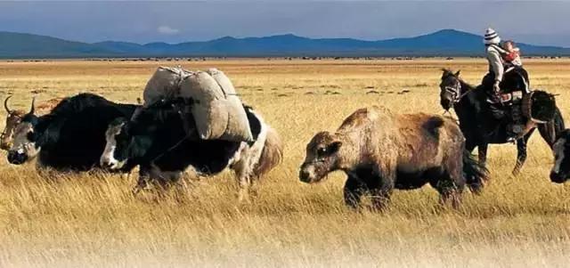 闃冲厜娴翠竴鏃ユ父鏀荤暐,闃冲厜娴翠竴鏃ユ父