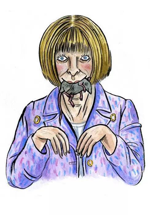 解读马男波杰克,马男波杰克生活真相