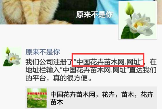 中国花卉苗木网,中国花卉网官网