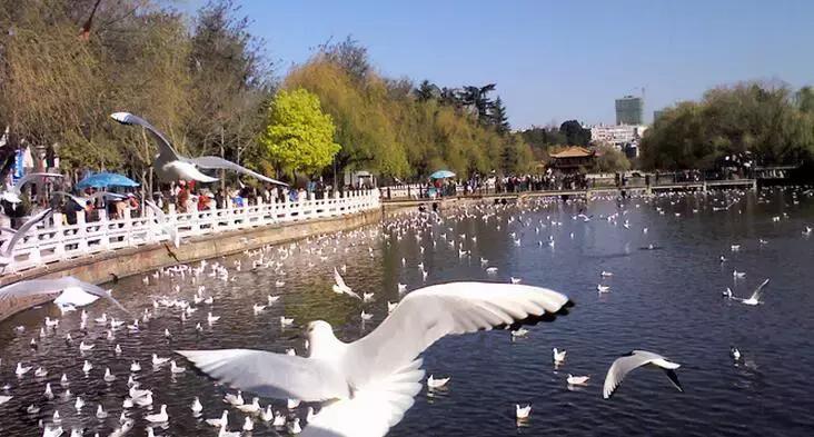 深圳到云南高铁路上美景,中国高铁最美路线