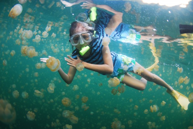 帕劳除了潜水还可以玩什么,在帕劳旅行发现帕劳潜水之美