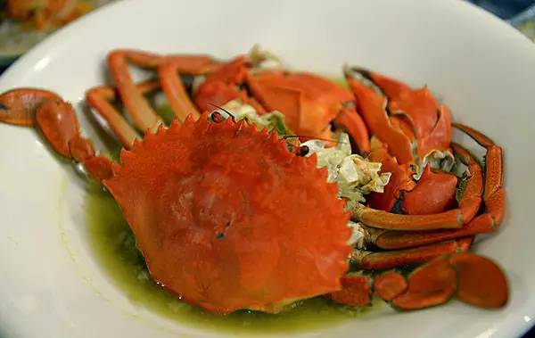 帕劳除了潜水还可以玩什么,在帕劳旅行发现帕劳潜水之美