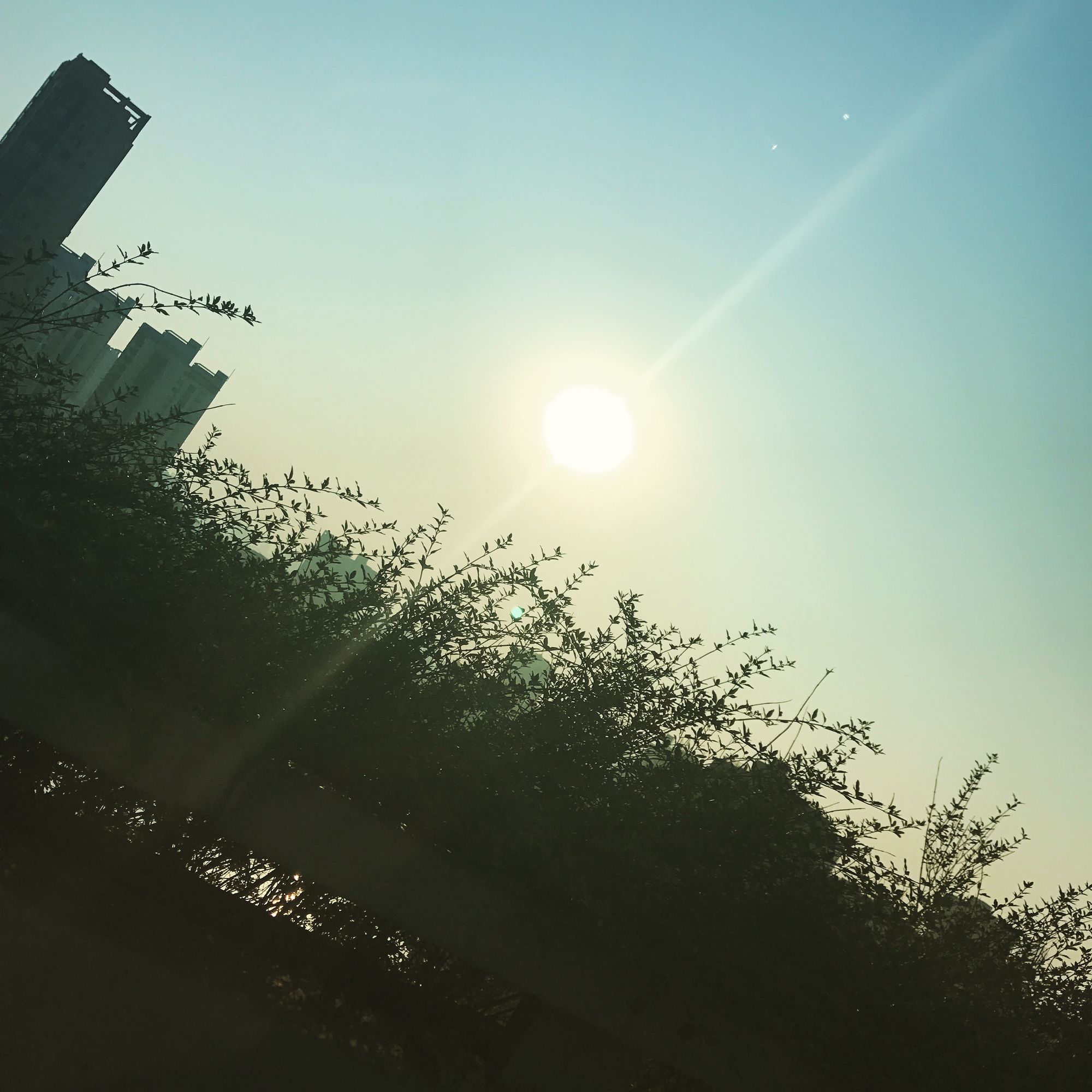 下一站你要去哪里肖桐,下一站你要去哪里歌曲