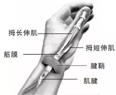 手机玩多了大拇指手腕痛,手机玩多了手指疼怎么缓解