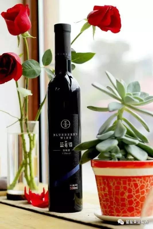 好喝的蓝莓酒营养价值,好喝的蓝莓酒