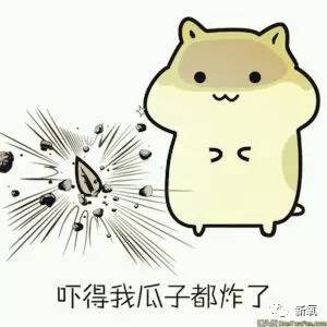 连范冰冰的脸都驾驭不了欧式平行大双，为什么？