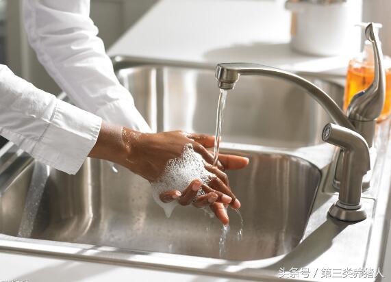 种公猪的睾丸有营养吗,种公猪饲料营养表