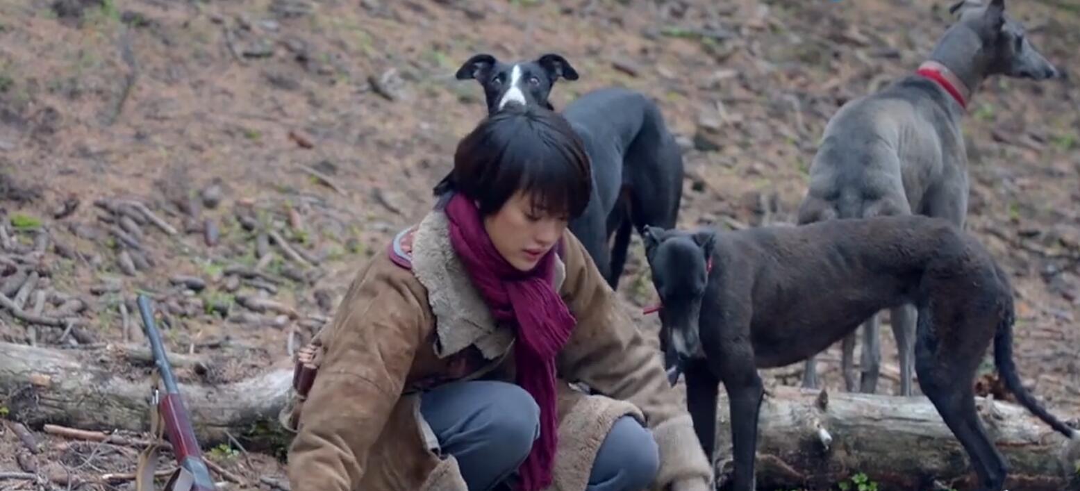 被刷屏的鬼吹灯里长腿狗狗,是濒临灭绝传说中的啸天犬?