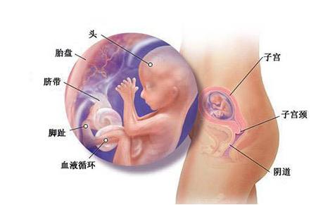 孕晚期遇见最恐怖的事情,孕晚期留意危险信号