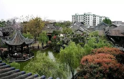 广州最便宜实惠的美食,广州一日游必备十大美食