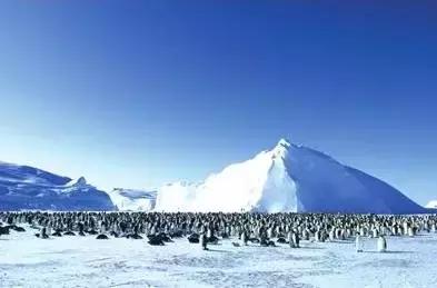 家庭教育之慢教育,家庭教育是父母给孩子最好的陪伴