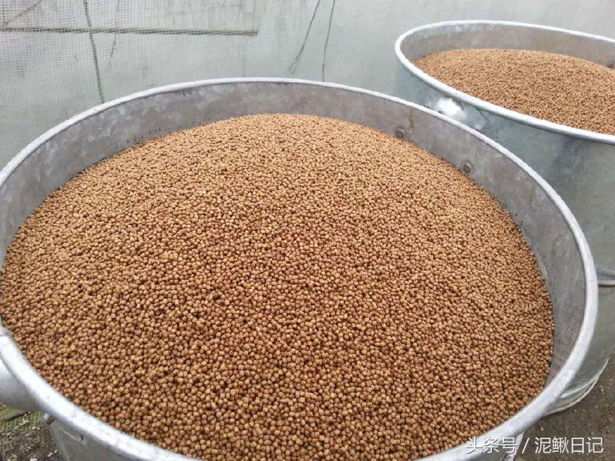 娉ラ硡鍏绘畺鏁堢泭,澶ф娉ラ硡鍏绘畺鏁堢泭