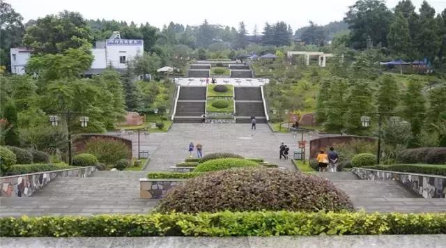 成安渝高速通车时间,成安渝高速畅通不