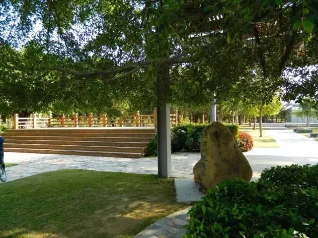 冬天的大亚湾,惠州大亚湾夏天的真实感受