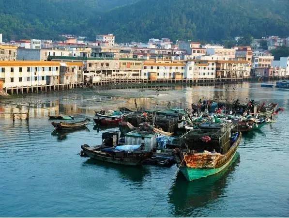 冬天的大亚湾,惠州大亚湾夏天的真实感受